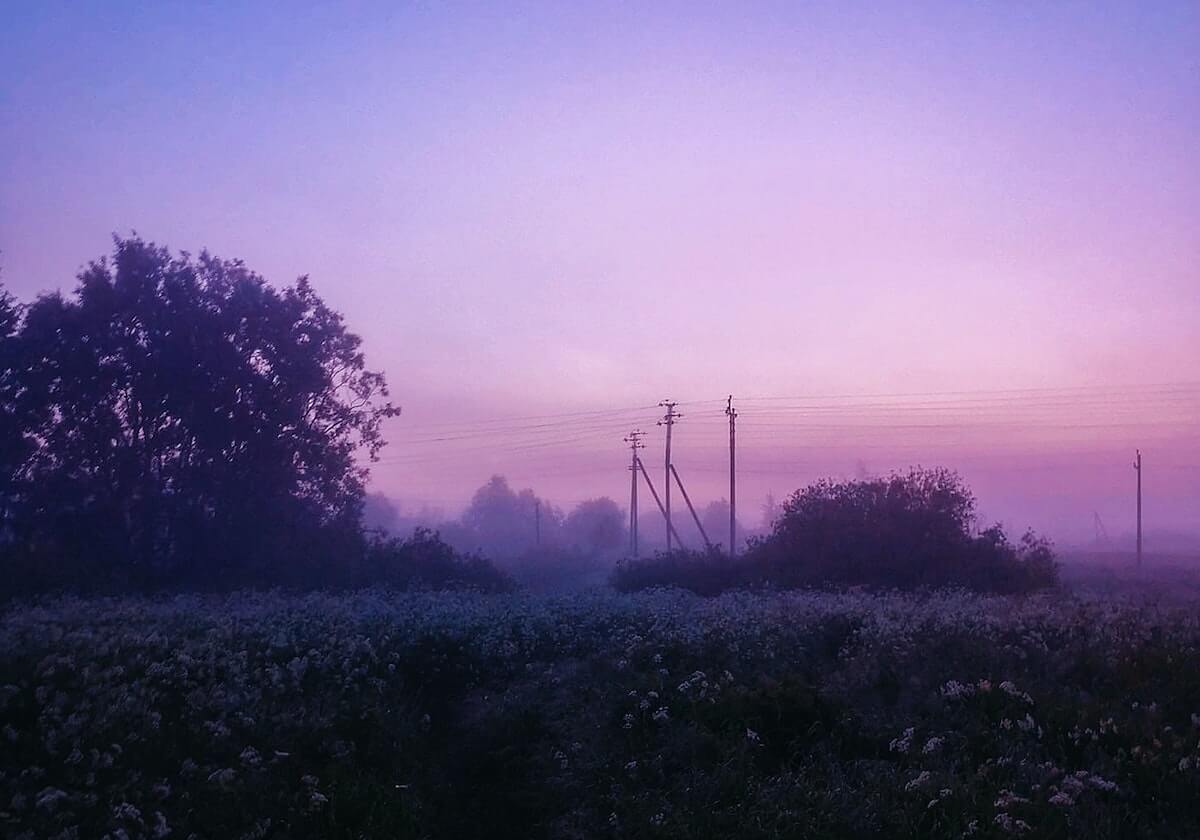 开云体育平台：开启体育新赛道的数字化革新之旅